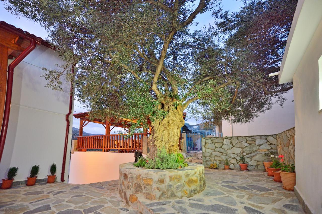 Villa Plokamos House à Plokamianá Extérieur photo